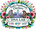 Toni’s Feathered Cluckers~ DNA Lab - Home