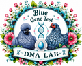 Blue Egg Gene Test